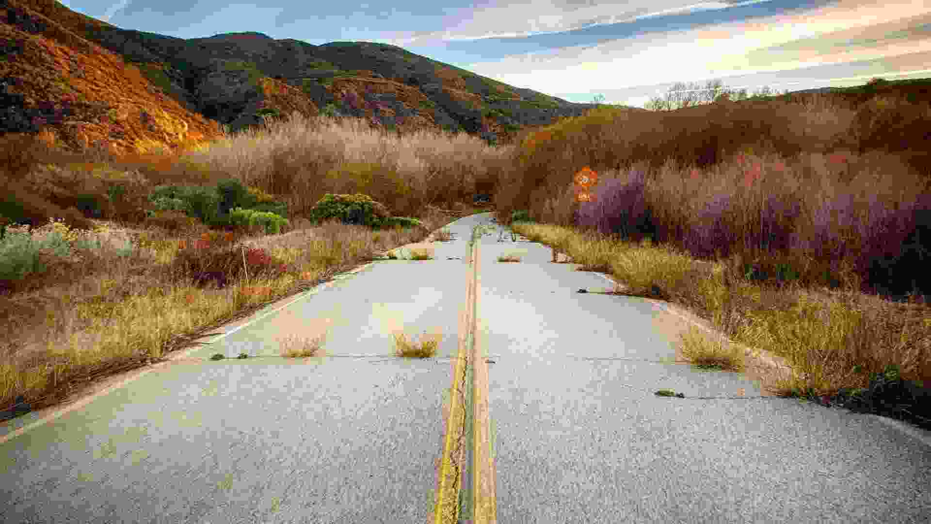 banner1